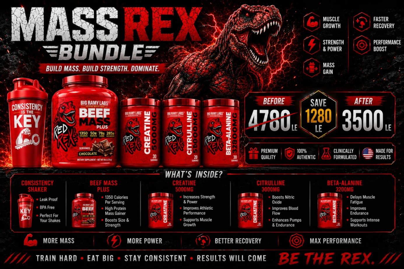 MR Supplements — Premium Sports Nutrition in Sharm El Sheikh