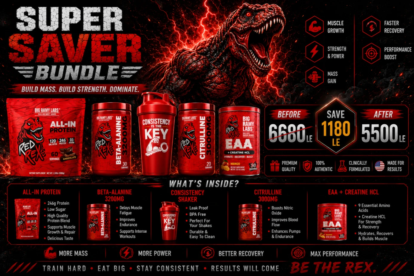 MR Supplements — Premium Sports Nutrition in Sharm El Sheikh